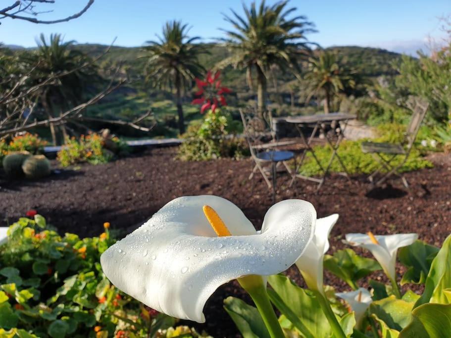 Casa Tara Ruhe Und Entspannung, Natur Pur Acardece Dış mekan fotoğraf