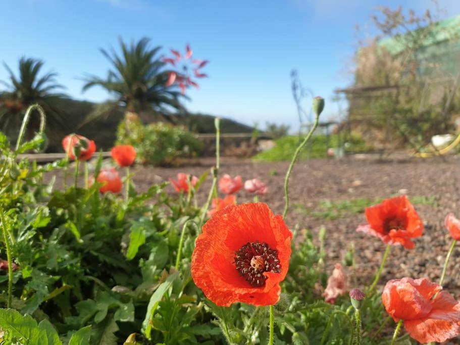 Casa Tara Ruhe Und Entspannung, Natur Pur Acardece Dış mekan fotoğraf